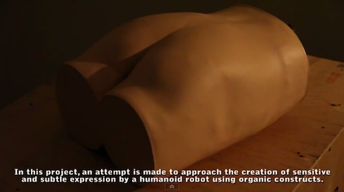 2012年度最詭異10大發明10