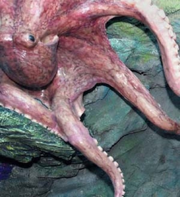 金正恩降臨人間15