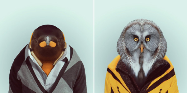 超有型！還真的很潮的時尚動物園19