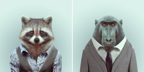 超有型！還真的很潮的時尚動物園20