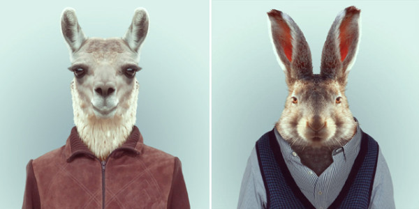 超有型！還真的很潮的時尚動物園22