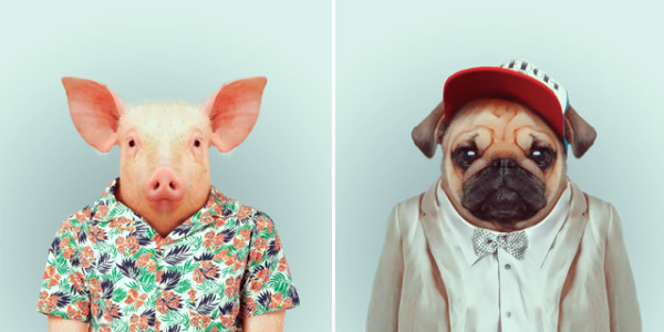 超有型！還真的很潮的時尚動物園24