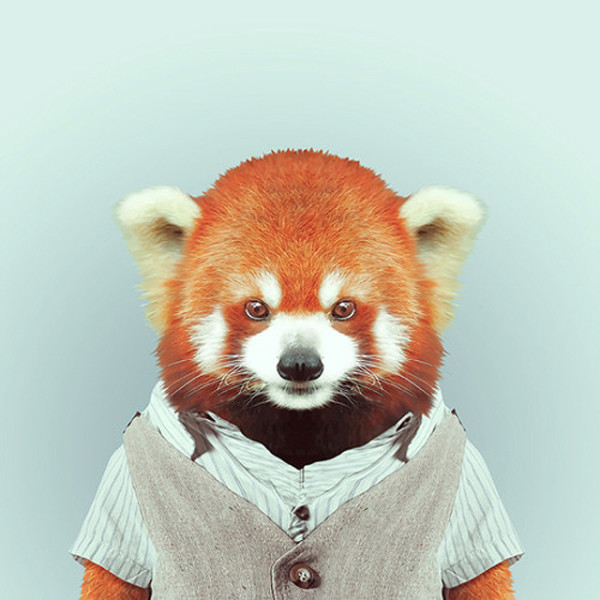 超有型！還真的很潮的時尚動物園5