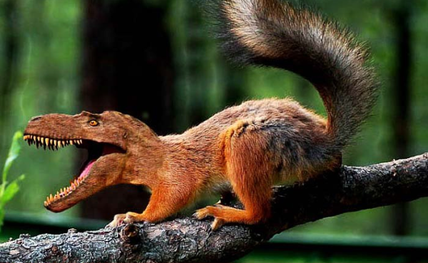 20種不能不存在的混血合體動物18