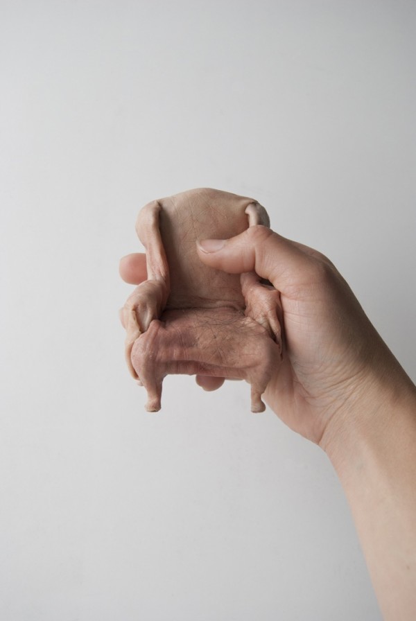 催吐用！假人皮製的噁心家具1