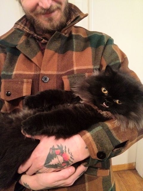 不是假牙，這隻貓真得長這樣！4