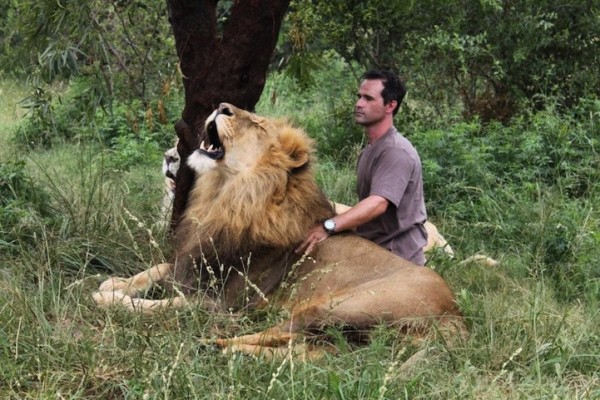 他跟獅子是好麻吉！7