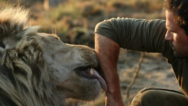 他跟獅子是好麻吉！9