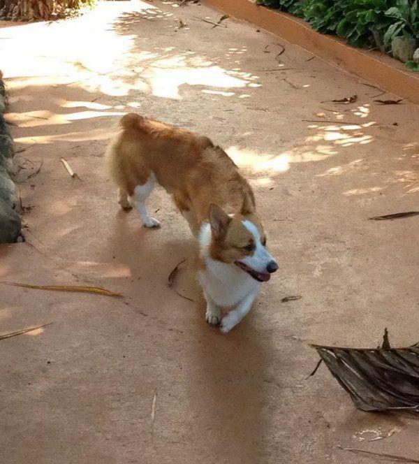 有縫接軌！錯很大的360度全景手機照16