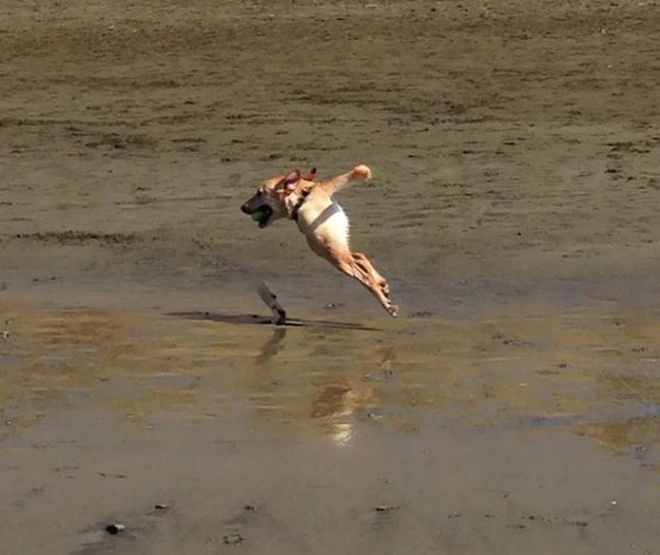 有縫接軌！錯很大的360度全景手機照5