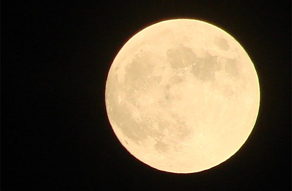 為什麼你要花三十塊買這個icon5