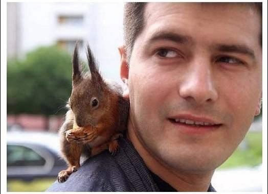 陪計程車司機一起載客的松鼠_02