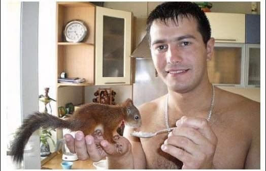 陪計程車司機一起載客的松鼠_07