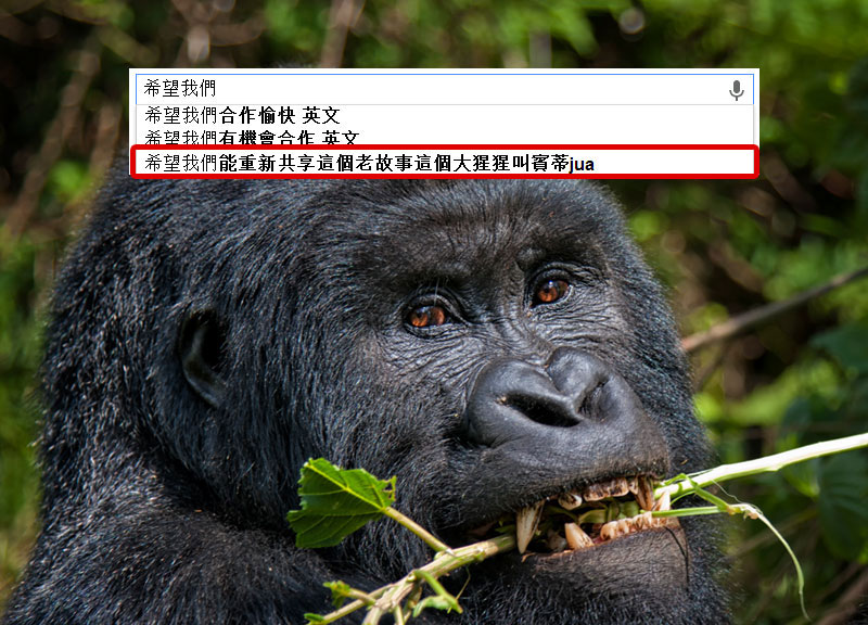 Google搜尋的奇怪建議7