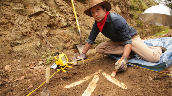 YIF後繼有人！網友爭投法國麵包惡搞圖14