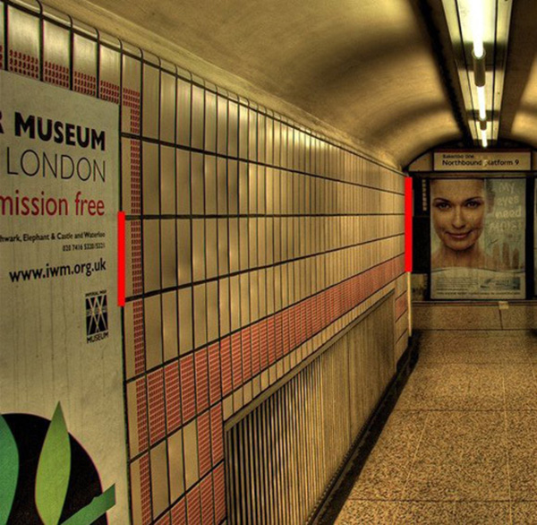 五個讓你難以接受的錯覺24