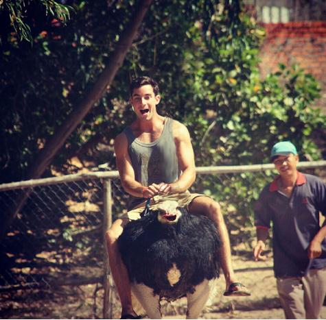 沒有脖子的動物！10