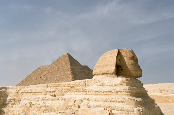 沒有脖子的動物！18