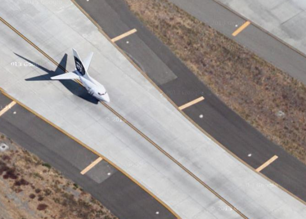 沒有脖子的動物！21