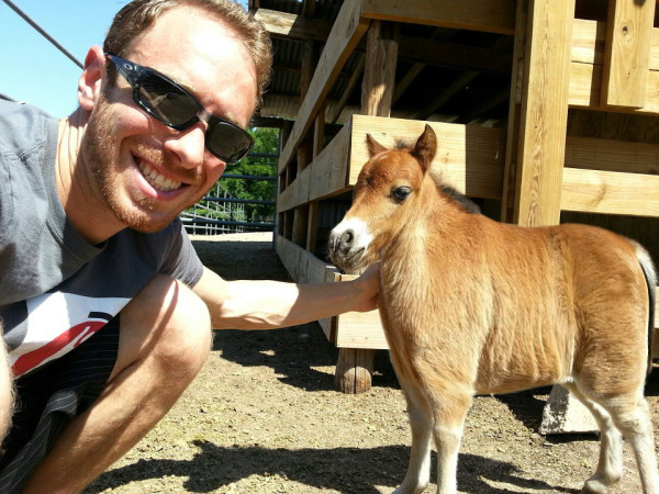 沒有脖子的動物！5