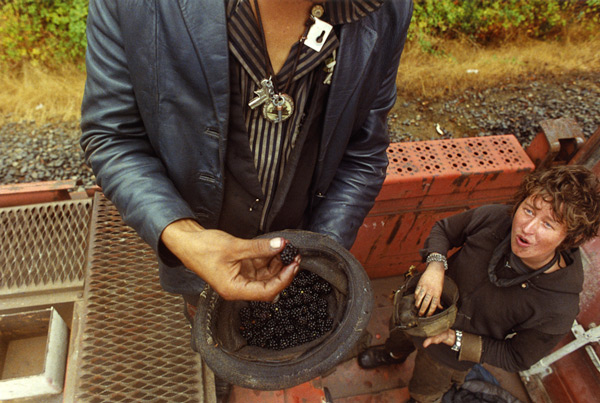 火車上的漂泊人生16