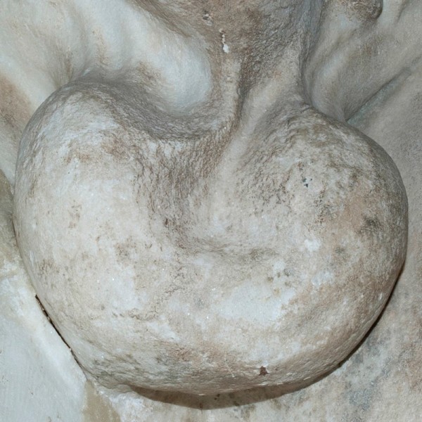 睪丸們的聚會12