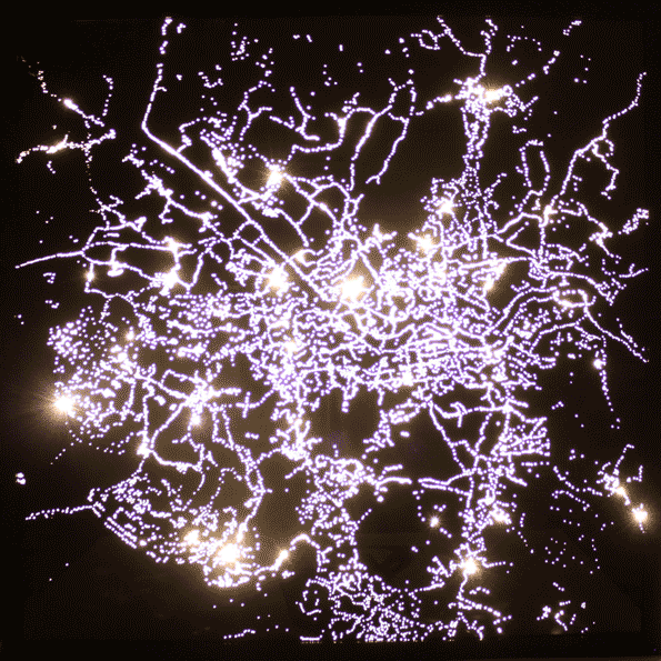 超美麗！閃亮亮的不夜城15