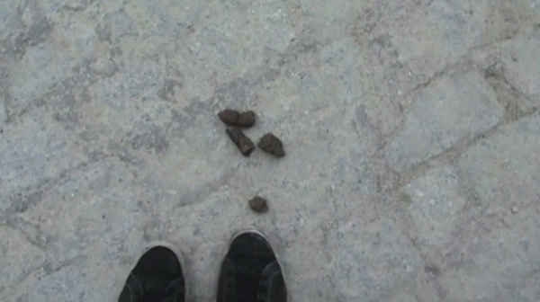 震撼教育！不清理自家狗屎，送屎到府1