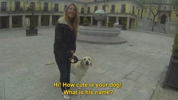 震撼教育！不清理自家狗屎，送屎到府3