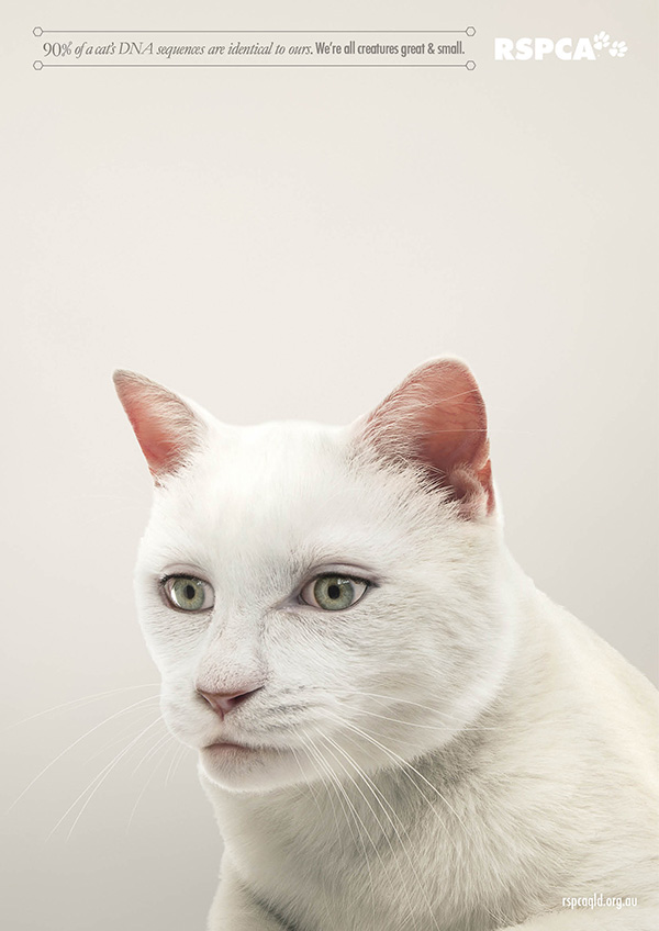 動物們換上人類眼睛的模樣1