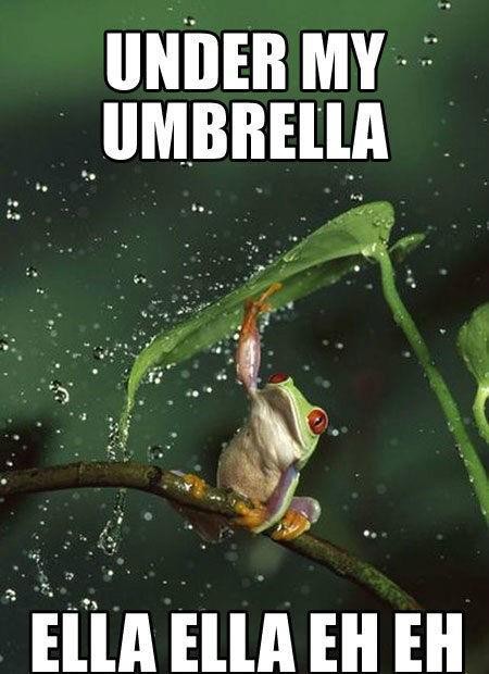 青蛙撐傘！5